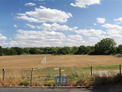 Picture 21